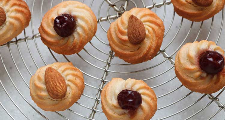 بتيفور دون بيض