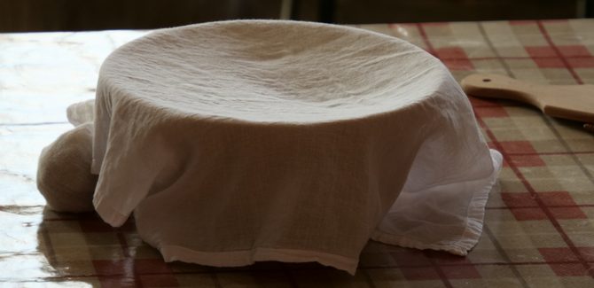 فطيرة الجبن بالزعتر