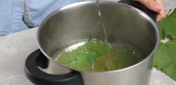 حشوة ورق العنب ال الأصلية