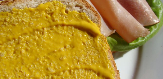 ساندوتش جبن سايل لفطور لذيذ