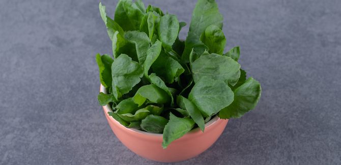 ساندوتش جبن سايل لفطور لذيذ