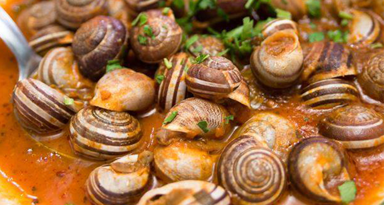 مرقة ببوش على الطريقة التونسية