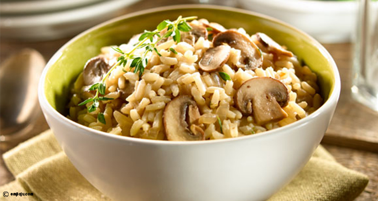 روز بالشامبينيون