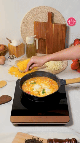 الشكشوكة المثالية